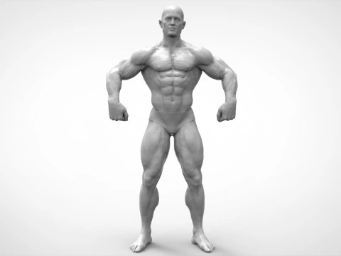ボディービルダーのポーズの解剖学 3Dプリントモデル