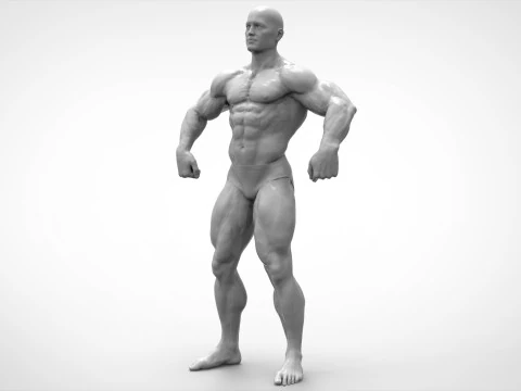 Bodybuilder Pose Anatomy 3D Print Model