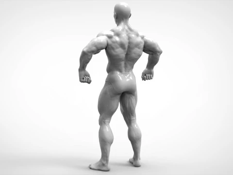 Bodybuilder Pose Anatomy 3D Print Model