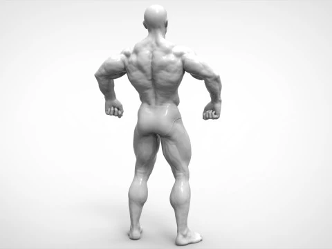 Bodybuilder Pose Anatomy 3D Print Model