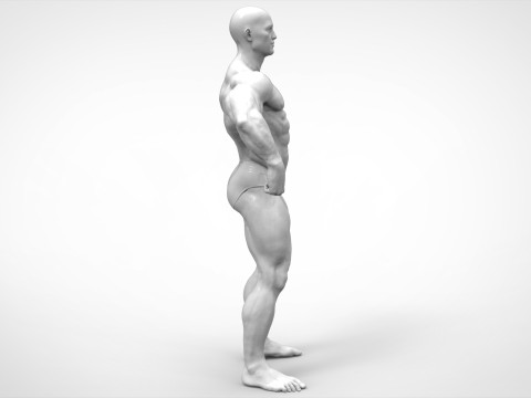Bodybuilder Pose Anatomy 3D Принт Модель