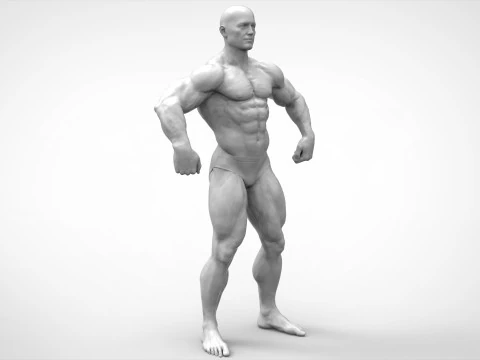 Bodybuilder Pose Anatomy 3D Print Model