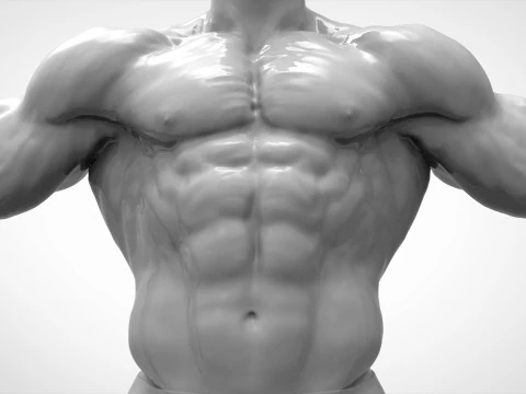 Bodybuilder Pose Anatomy 3D Print Model