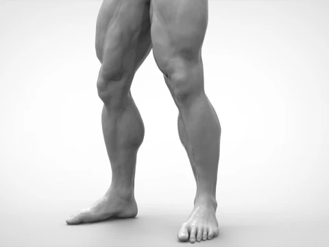 Bodybuilder Pose Anatomy 3D Print Model