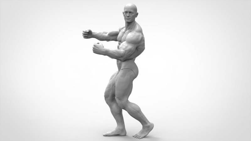 Bodybuilder Pose Anatomy 3D Print Model .c4d .max .obj .3ds .fbx .stl .blend 