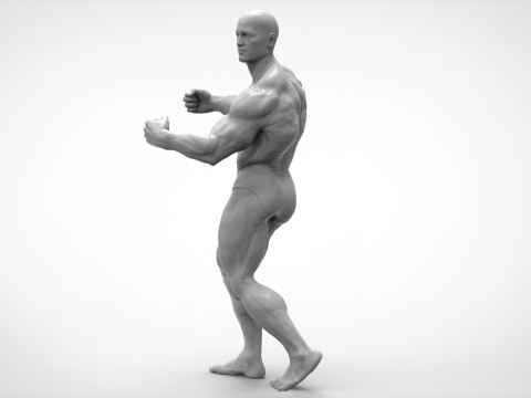 Bodybuilder Pose Anatomy 3D Print Model