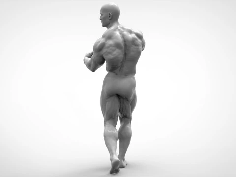 Bodybuilder Pose Anatomy 3D Print Model