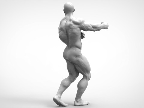 Bodybuilder Pose Anatomy 3D Print Model