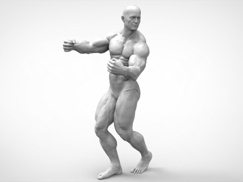 Bodybuilder Pose Anatomy 3D Print Model