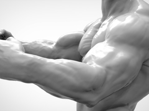 Bodybuilder Pose Anatomy 3D Print Model