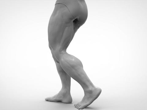 Bodybuilder Pose Anatomy 3D Print Model