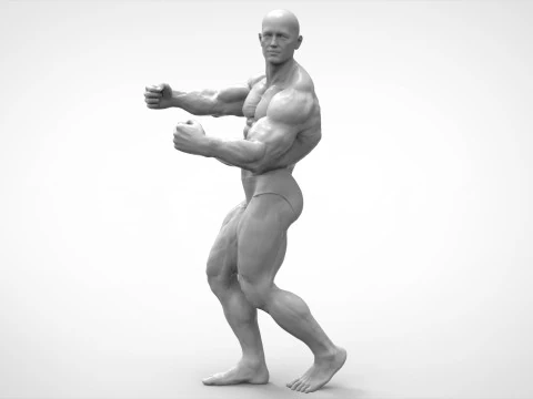 Bodybuilder Pose Anatomy 3D Print Model