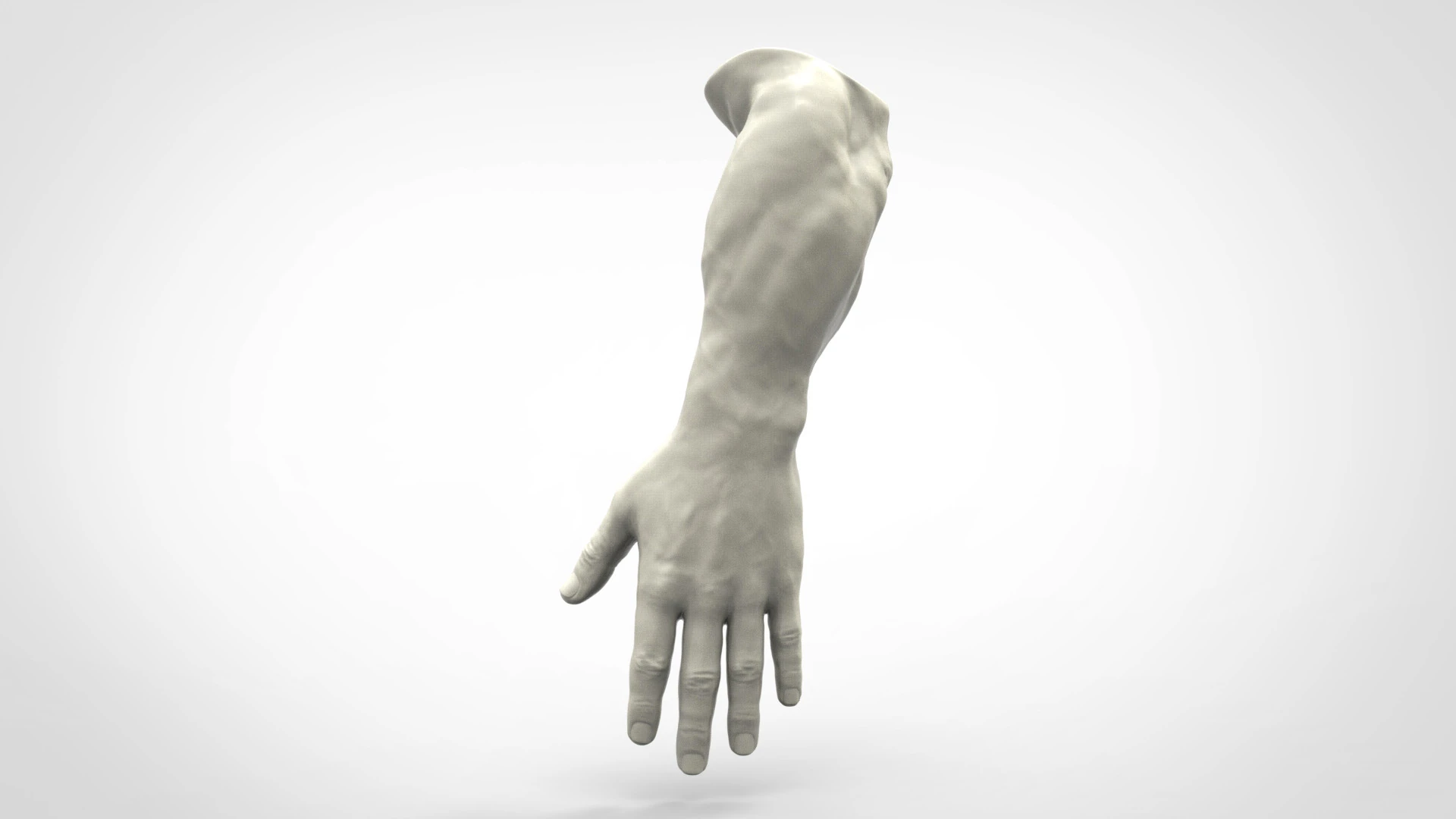 Mano humana realista Modelo de impresión 3D .c4d .max .obj .3ds .fbx .stl .blend 