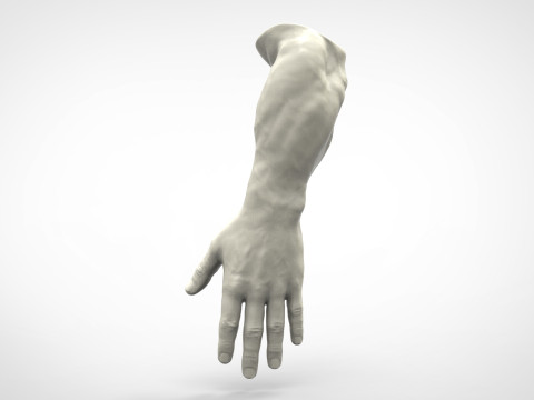 Realistic Human Hand 3D Принт Модель