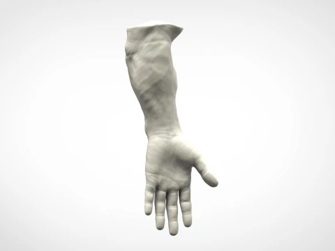 Mano humana realista Modelo de impresión 3D