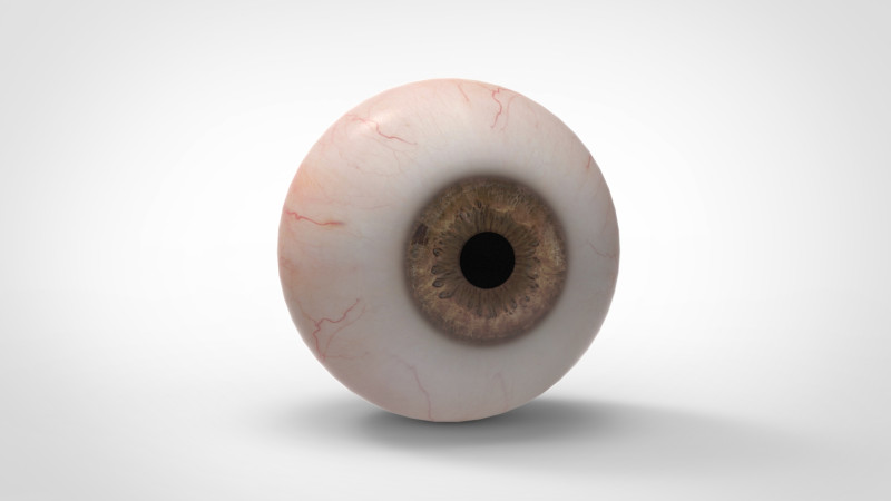 Realistic Eye 3D Модель .c4d .max .obj .3ds .fbx .stl .blend 