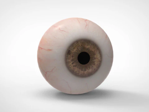 Occhio realistico Modello 3D