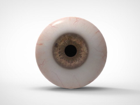 Realistic Eye 3D Модель