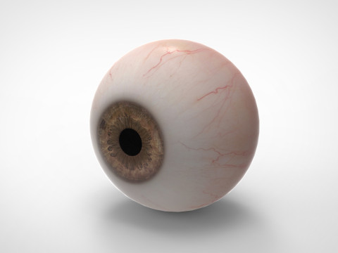 Realistic Eye 3D Модель
