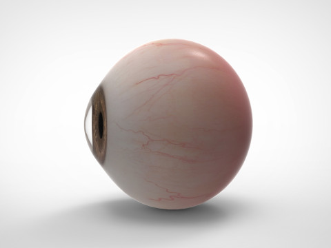 Realistic Eye 3D Модель