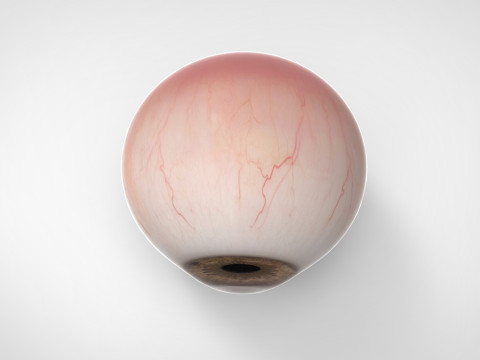 Realistic Eye 3D Модель