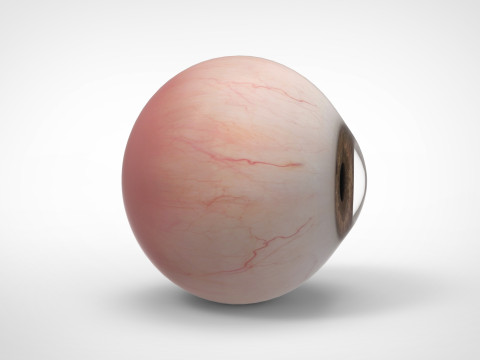 Realistic Eye 3D Модель
