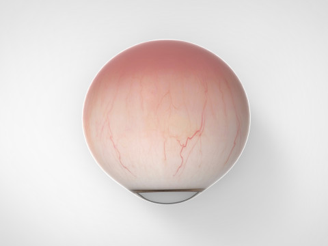 Realistic Eye 3D Модель