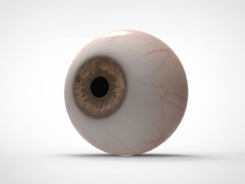 Realistic Eye 3D Модель