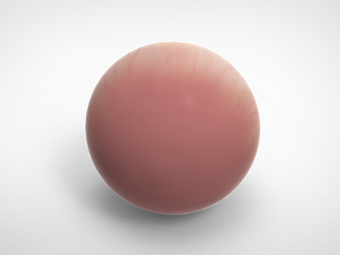 Realistic Eye 3D Модель