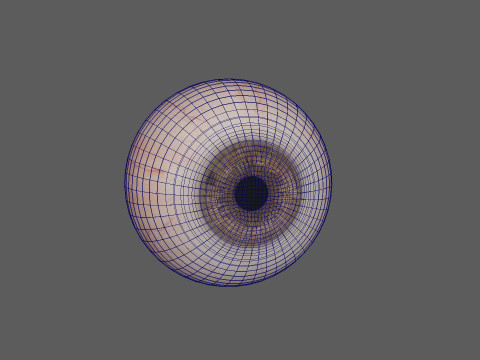 Realistic Eye 3D Модель
