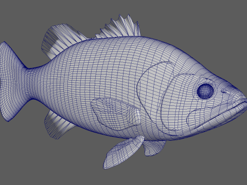 Bass Fish 3Dモデル