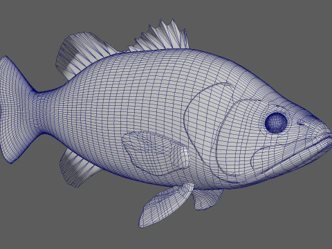 バスフィッシュ 3Dモデル