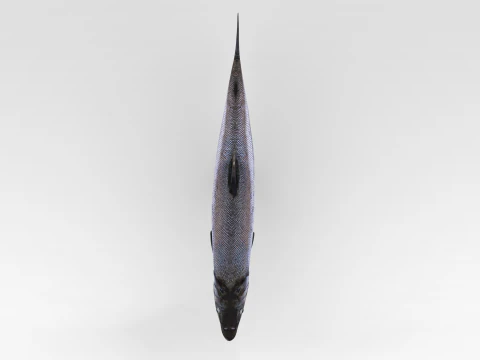 Peixe Salm&atilde;o Modelo 3D