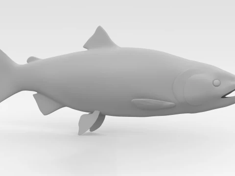 Peixe Salm&atilde;o Modelo 3D