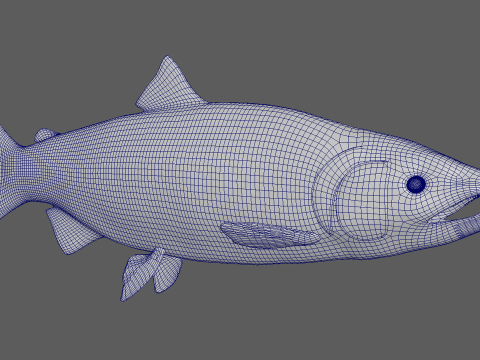 Salmon Fish Modello 3D