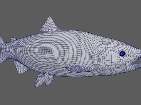 Peixe Salm&atilde;o Modelo 3D
