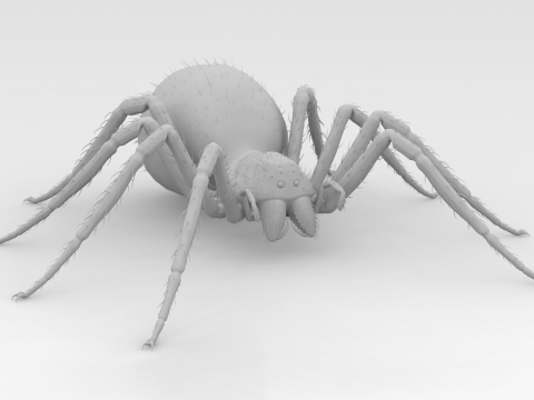 Giant Spider 3D Model