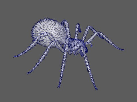 Giant Spider 3D Model
