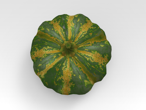 Pumpkin 3D Model