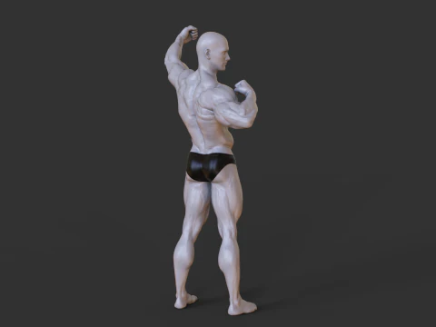 Bodybuilder Pose 3D Print Model
