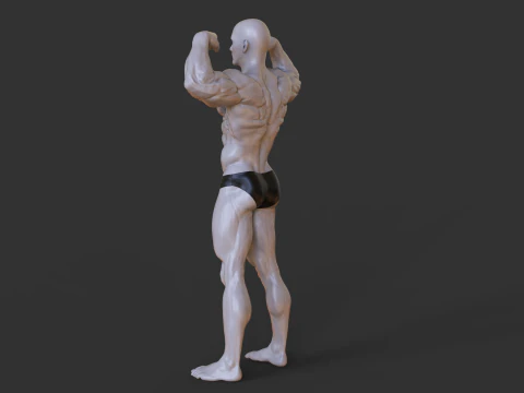 Поза культурист 3D Принт Модель