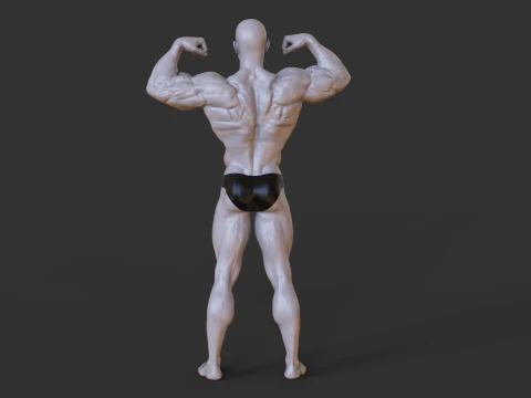Поза культурист 3D Принт Модель