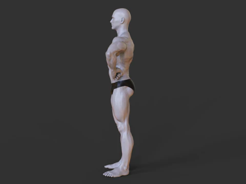 Postura do fisiculturista Modelo de Impressão 3D