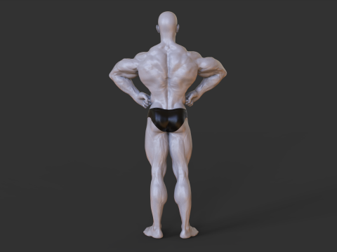 Bodybuilder Pose 3D-printmodel