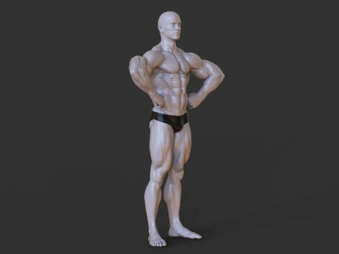 Postura do fisiculturista Modelo de Impressão 3D