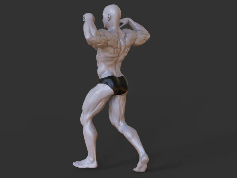 Поза бодибилдера 3D Принт Модель