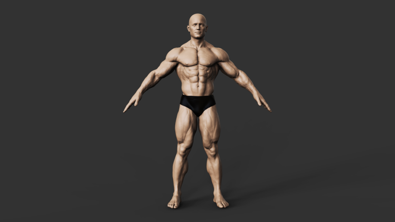 Bodybuilder 3D प्रिंट मॉडल .c4d .max .obj .3ds .fbx .stl .blend