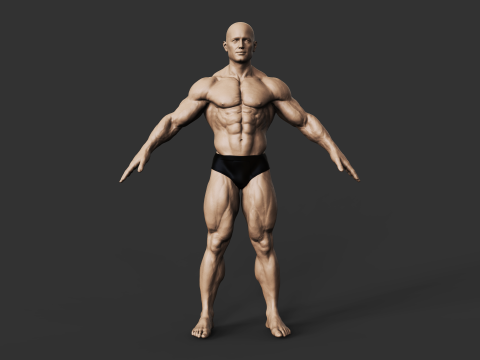 Bodybuilder 3D Print Model