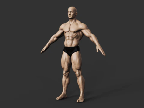 Fisiculturista Modelo de Impressão 3D