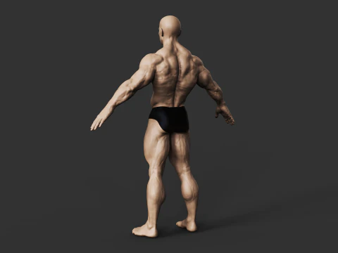 Fisiculturista Modelo de Impressão 3D